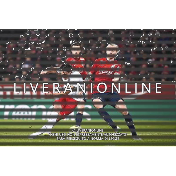 Edinson CAVANI / Simon KJAER - 03.12.2014 - Lille / Paris Saint Germain - 16eme journee de Ligue 1 - Photo : Fred Porcu / Icon Sport /AGENZIA ALDO LIVERANI SAS - ITALY ONLY - EDITORIAL USE ONLY