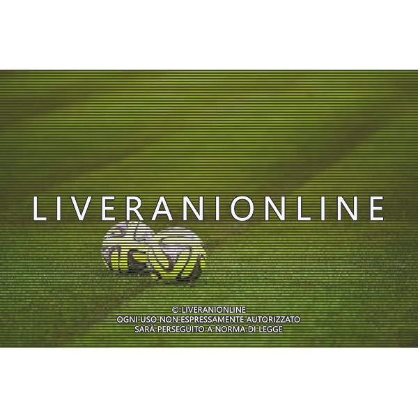 Illustration nouvelle plaque de pelouse Grand Stade de Lille - 03.12.2014 - Lille / Paris Saint Germain - 16eme journee de Ligue 1 - Photo : Fred Porcu / Icon Sport /AGENZIA ALDO LIVERANI SAS - ITALY ONLY - EDITORIAL USE ONLY