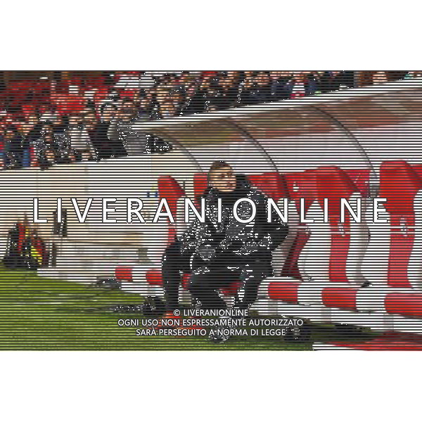 Marco VERRATTI - 03.12.2014 - Lille / Paris Saint Germain - 16eme journee de Ligue 1 - Photo : Fred Porcu / Icon Sport /AGENZIA ALDO LIVERANI SAS - ITALY ONLY - EDITORIAL USE ONLY