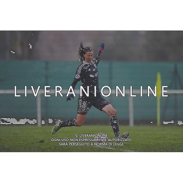Lotta SCHELIN - 03.12.2014 - Saint Etienne / Lyon - 11eme journee de Division 1 Photo : Thomas Pictures / Icon Sport AG ALDO LIVERANI SAS ONLY ITALY