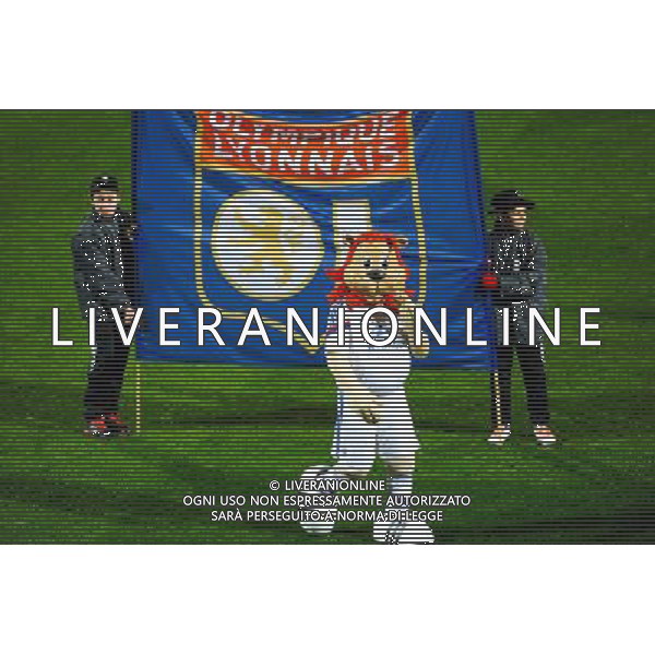 Illustration mascotte - 04.12.2014 - Lyon / Reims - 16eme journee de Ligue 1 Photo : Jean Paul Thomas / Icon Sport AG ALDO LIVERANI SAS ONLY ITALY