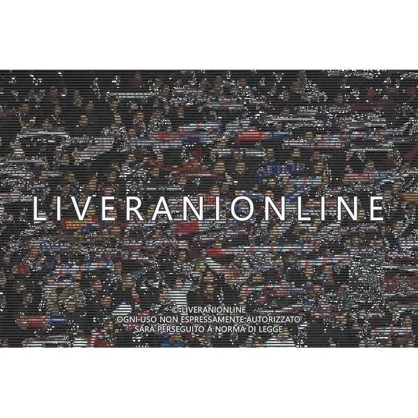 Illustration supporters Lyon - 04.12.2014 - Lyon / Reims - 16eme journee de Ligue 1 Photo : Jean Paul Thomas / Icon Sport AG ALDO LIVERANI SAS ONLY ITALY