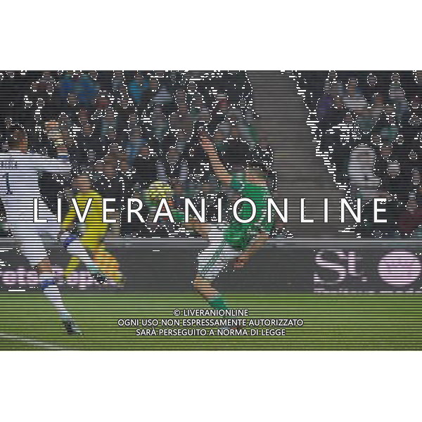Goal Ricky VAN WOLFSWINKEL - 06.12.2014 - Saint Etienne / Bastia - 17eme journee de Ligue 1 - Photo : Jean Paul Thomas / Icon Sport AG ALDO LIVERANI SAS ONLY ITALY