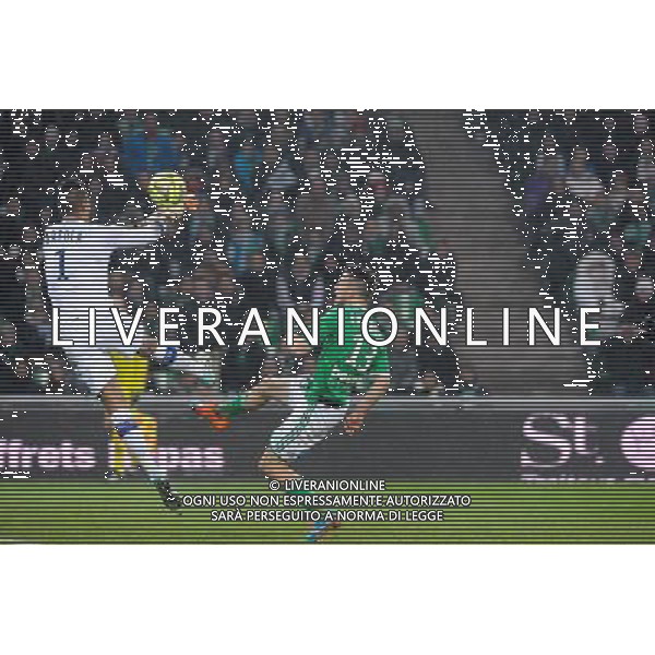 Goal Ricky VAN WOLFSWINKEL - 06.12.2014 - Saint Etienne / Bastia - 17eme journee de Ligue 1 - Photo : Jean Paul Thomas / Icon Sport AG ALDO LIVERANI SAS ONLY ITALY