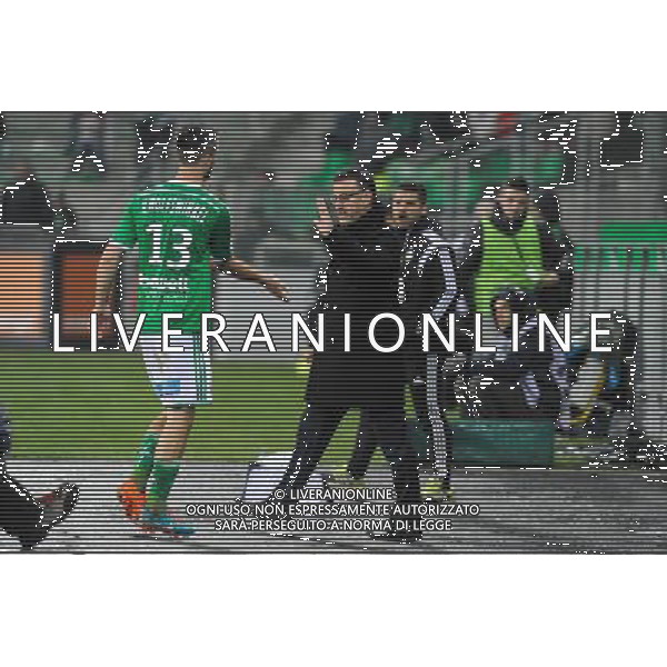 Ricky VAN WOLFSWINKEL / Christophe GALTIER - 05.12.2014 - Saint Etienne / Bastia - 17eme journee de Ligue 1 - Photo : Jean Paul Thomas / Icon Sport AG ALDO LIVERANI SAS ONLY ITALY