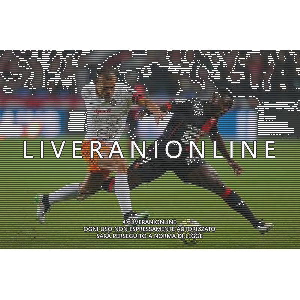 HILTON / Paul Georges NTEP - 06.12.2014 - Rennes / Montpellier - 17eme journee de Ligue 1 - Photo : Vincent Michel / Icon Sport AG ALDO LIVERANI SAS ONLY ITALY