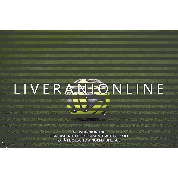 Ballon hiver - 06.12.2014 - PSG / Nantes - 17eme journee de Ligue 1 Photo : Andre Ferreira / Icon Sport AG ALDOL IVERANI SAS ONLY ITALY