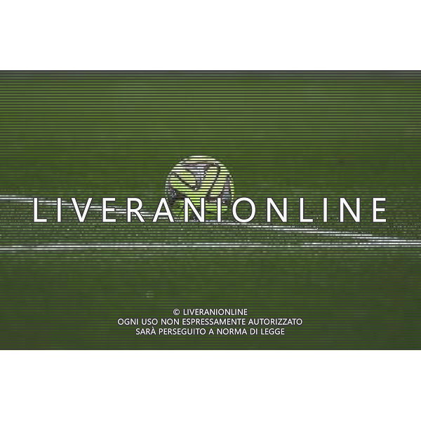 Illustration Ballon - 05.12.2014 - Toulouse / Monaco - 17eme journee de Ligue 1 - Photo : Manuel Blondeau / Icon Sport AG ALDO LIVERANI SAS ONLY ITALY
