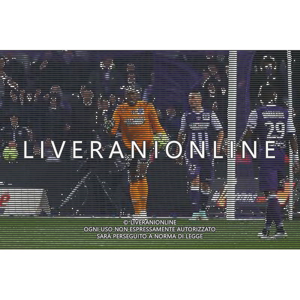 Ali Ahamada - 05.12.2014 - Toulouse / Monaco - 17eme journee de Ligue 1 - Photo : Manuel Blondeau / Icon Sport AG ALDO LIVERANI SAS ONLY ITALY