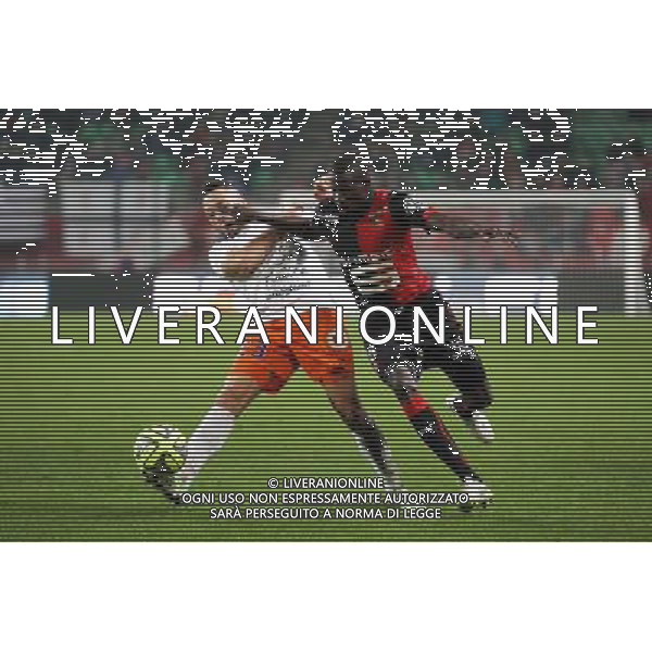 Abdoulaye DOUCOURE / Jamel SAIHI - 06.12.2014 - Rennes / Montpellier - 17eme journee de Ligue 1 - Photo : Vincent Michel / Icon Sport /Agenzia Aldo Liverani sas - ITALY ONLY - EDITORIAL USE ONLY