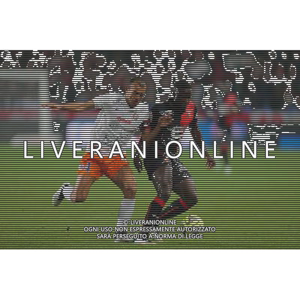 Paul Georges NTEP / HILTON - 06.12.2014 - Rennes / Montpellier - 17eme journee de Ligue 1 - Photo : Vincent Michel / Icon Sport /Agenzia Aldo Liverani sas - ITALY ONLY - EDITORIAL USE ONLY
