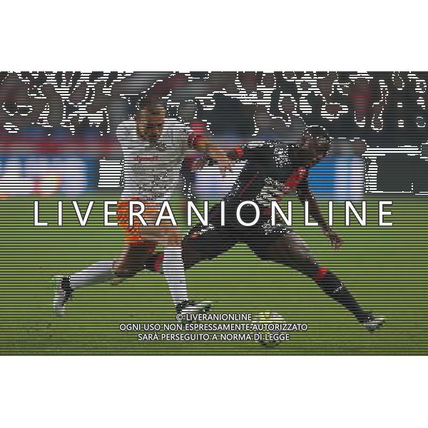 Paul Georges NTEP / HILTON - 06.12.2014 - Rennes / Montpellier - 17eme journee de Ligue 1 - Photo : Vincent Michel / Icon Sport /Agenzia Aldo Liverani sas - ITALY ONLY - EDITORIAL USE ONLY