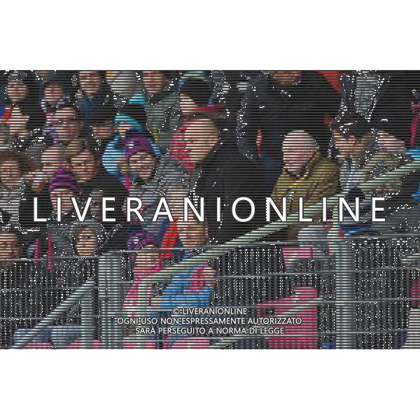 Pascal DUPRAZ - 07.12.2014 - Evian Thonon / Lyon - 17eme journee de Ligue 1 - Photo : Jean Paul Thomas / Icon Sport AG ALDO LIVERANI SAS ONLY ITALY