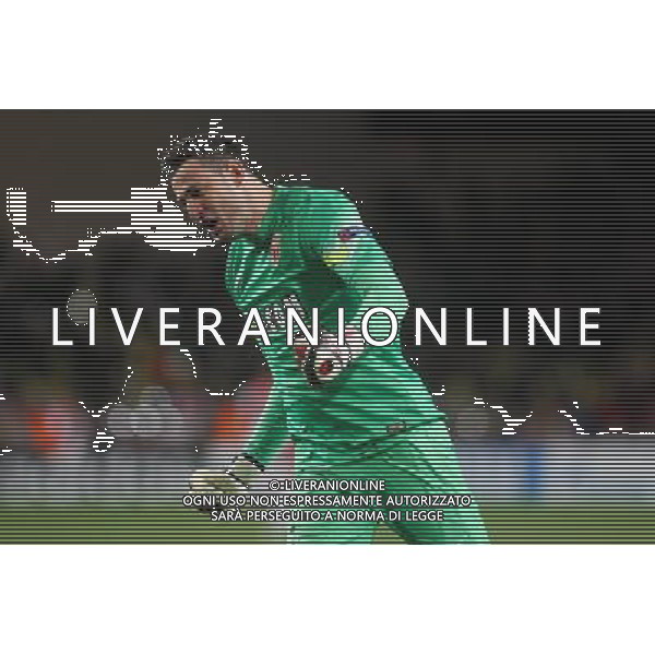 Joie Danijel SUBASIC - 09.12.2014 - Monaco / Zenith St Petersbourg - Champions League Photo : Serge Haouzi / Icon Sport AG ALDO LIVERANI SAS ONLY ITALY