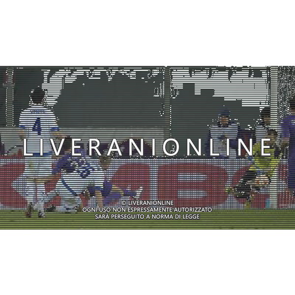 UEFA Europa League 2014/2015 Gruppo K Firenze - 11.12.2014 Fiorentina-Dinamo Minsk Nella Foto:occasione gomez parata da gutor /Ph.Vitez-Ag. Aldo Liverani
