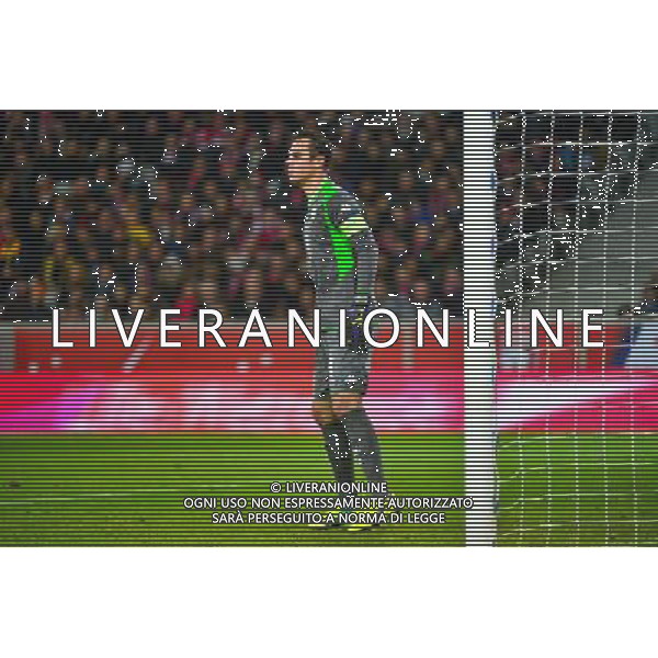 Diego BENAGLIO - 11.12.2014 - Lille / Wolfsbourg - Europa League Photo : Dave Winter / Icon Sport /Agenzia Aldo Liverani sas - ITALY ONLY - EDITORIAL USE ONLY