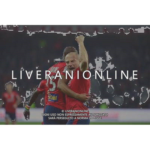 Joie Djibril SIDIBE / Florent BALMONT - 14.12.2014 - Lille / Toulouse - 18eme journee de Ligue1 Photo : Dave Winter / Icon Sport *** Local Caption *** AG ALDO LIVERANI SAS ONLY ITALY *** Local Caption *** AG ALDO LIVERANI SAS ONLY ITALY