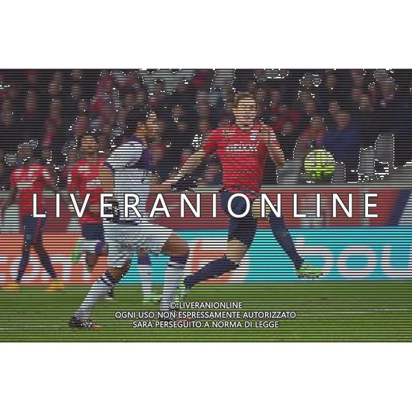 Nolan ROUX / Abel AGUILAR - 14.12.2014 - Lille / Toulouse - 18eme journee de Ligue1 Photo : Dave Winter / Icon Sport *** Local Caption *** AG ALDO LIVERANI SAS ONLY ITALY *** Local Caption *** AG ALDO LIVERANI SAS ONLY ITALY