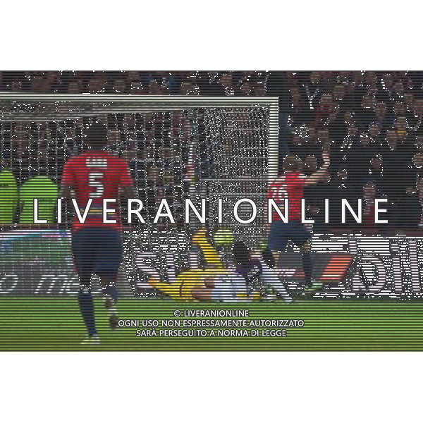But Nolan ROUX - 14.12.2014 - Lille / Toulouse - 18eme journee de Ligue1 Photo : Dave Winter / Icon Sport AG ALDO LIVERANI SAS ONLY ITALY