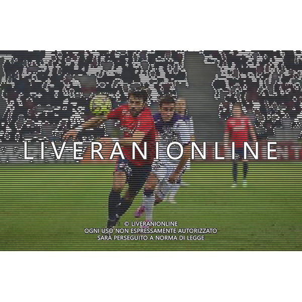 Marko BASA / Aleksandar PESIC - 14.12.2014 - Lille / Toulouse - 18eme journee de Ligue1 Photo : Dave Winter / Icon Sport AG ALDO LIVERANI SAS ONLY ITALY
