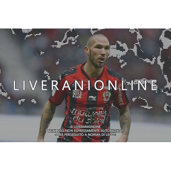 Didier Digard - 14.12.2014 - Nice / Saint Etienne - 18eme journee de Ligue1 Photo : Manuel Blondeau / Icon Sport /Agenzia Aldo Liverani sas - ITALY ONLY - EDITORIAL USE ONLY