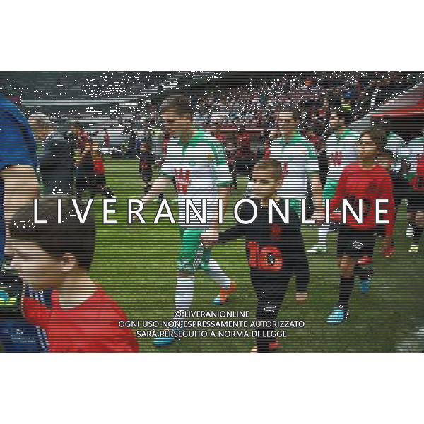 Franck Tabanou - 14.12.2014 - Nice / Saint Etienne - 18eme journee de Ligue1 Photo : Manuel Blondeau / Icon Sport /Agenzia Aldo Liverani sas - ITALY ONLY - EDITORIAL USE ONLY