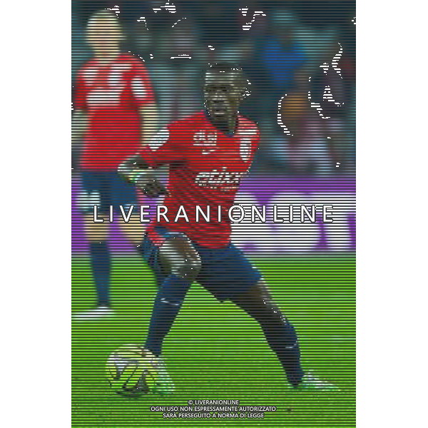 Idrissa GUEYE - 14.12.2014 - Lille / Toulouse - 18eme journee de Ligue1 Photo : Dave Winter / Icon Sport /Agenzia Aldo Liverani sas - ITALY ONLY - EDITORIAL USE ONLY