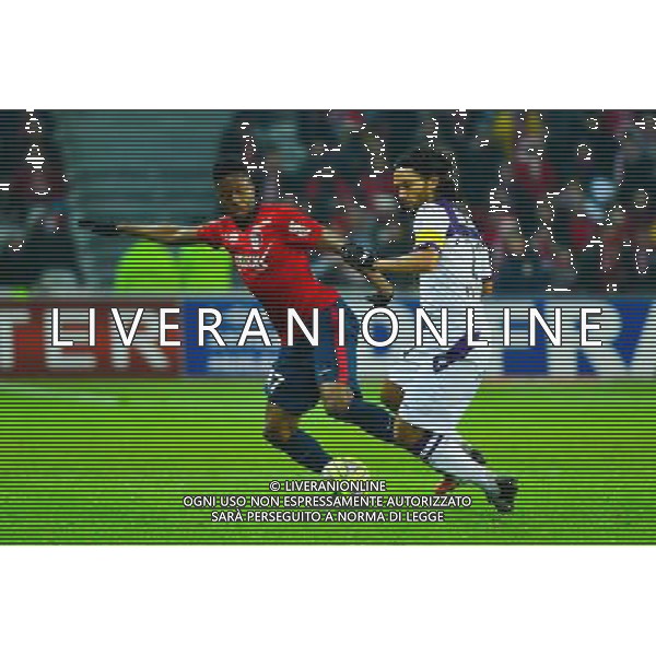 Divock ORIGI / Abel AGUILAR - 14.12.2014 - Lille / Toulouse - 18eme journee de Ligue1 Photo : Dave Winter / Icon Sport /Agenzia Aldo Liverani sas - ITALY ONLY - EDITORIAL USE ONLY