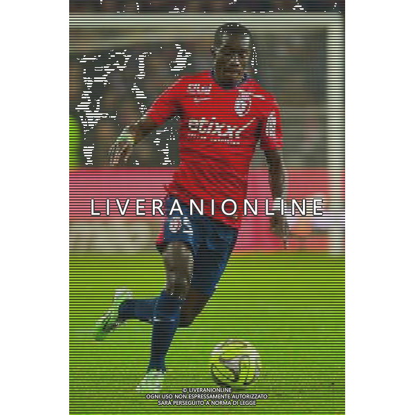 Idrissa GUEYE - 14.12.2014 - Lille / Toulouse - 18eme journee de Ligue1 Photo : Dave Winter / Icon Sport /Agenzia Aldo Liverani sas - ITALY ONLY - EDITORIAL USE ONLY