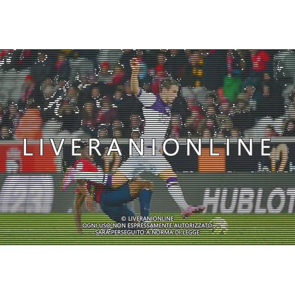 Aleksandar PESIC / Divock ORIGI - 14.12.2014 - Lille / Toulouse - 18eme journee de Ligue1 Photo : Dave Winter / Icon Sport /Agenzia Aldo Liverani sas - ITALY ONLY - EDITORIAL USE ONLY