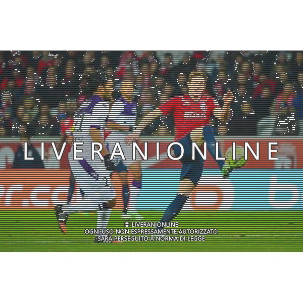 Nolan ROUX - 14.12.2014 - Lille / Toulouse - 18eme journee de Ligue1 Photo : Dave Winter / Icon Sport /Agenzia Aldo Liverani sas - ITALY ONLY - EDITORIAL USE ONLY