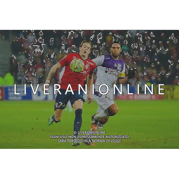 Nolan ROUX / Abel AGUILAR - 14.12.2014 - Lille / Toulouse - 18eme journee de Ligue1 Photo : Dave Winter / Icon Sport /Agenzia Aldo Liverani sas - ITALY ONLY - EDITORIAL USE ONLY