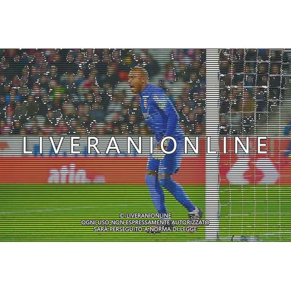 Vincent ENYEAMA - 14.12.2014 - Lille / Toulouse - 18eme journee de Ligue1 Photo : Dave Winter / Icon Sport /Agenzia Aldo Liverani sas - ITALY ONLY - EDITORIAL USE ONLY