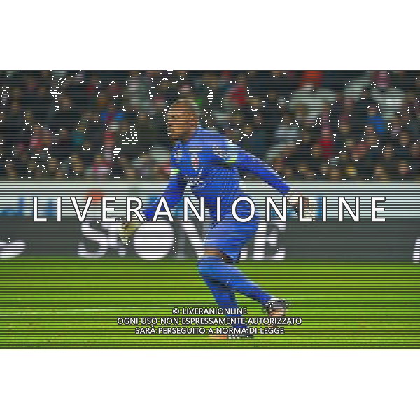 Vincent ENYEAMA - 14.12.2014 - Lille / Toulouse - 18eme journee de Ligue1 Photo : Dave Winter / Icon Sport /Agenzia Aldo Liverani sas - ITALY ONLY - EDITORIAL USE ONLY