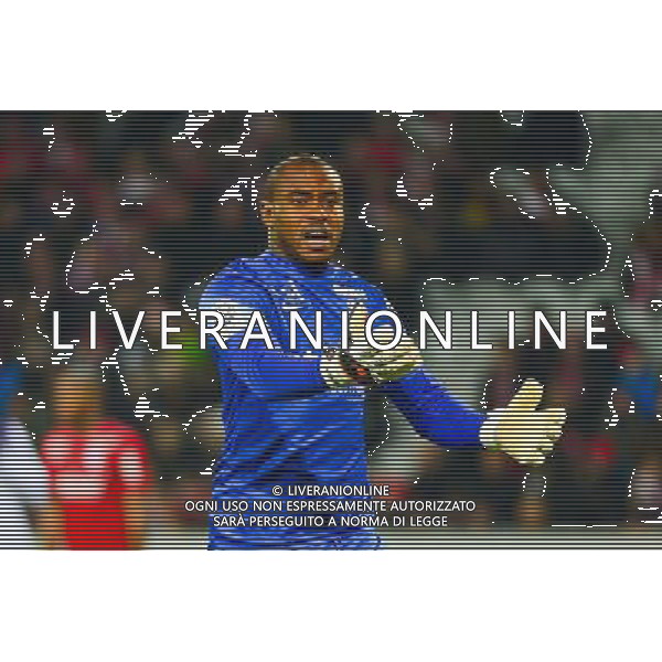 Vincent ENYEAMA - 14.12.2014 - Lille / Toulouse - 18eme journee de Ligue1 Photo : Dave Winter / Icon Sport /Agenzia Aldo Liverani sas - ITALY ONLY - EDITORIAL USE ONLY
