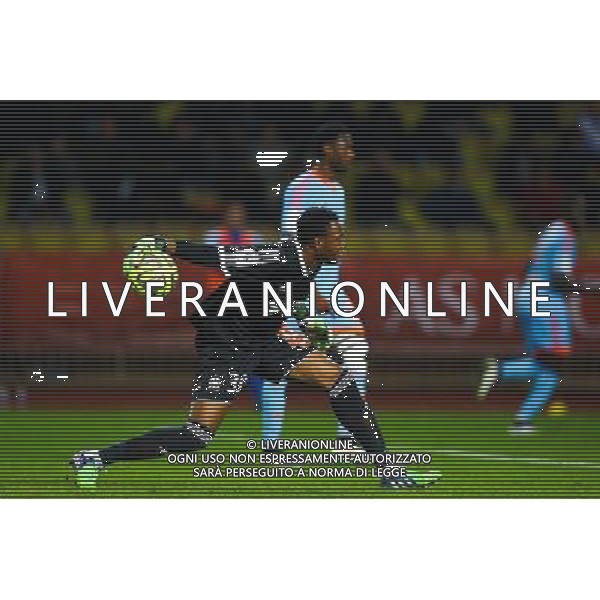 Steve Mandanda - 14.12.2014 - Monaco / Marseille - 18eme journee de Ligue1 Photo : Manu Blondeau / Icon Sport *** Local Caption *** AG ALDO LIVERANI SAS ONLY ITALY *** Local Caption *** AG ALDO LIVERANI SAS ONLY ITALY