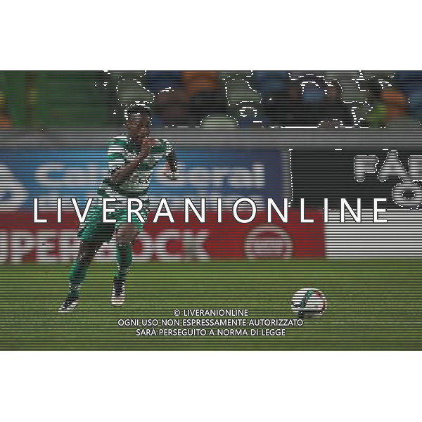 Carlos Mane - 14.12.2014 - Sporting / Moreirense - Liga Sagres Photo : Carlos Rodrigues / Icon Sport AG ALDO LIVERANI SAS ONLY ITALY
