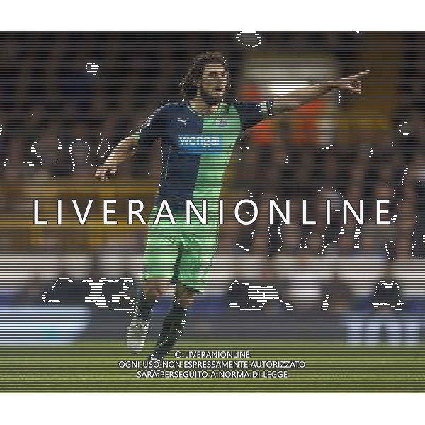 Newcastle United\'s Fabricio Coloccini in action during todays match Photo by KieranGalvin/CameraSport Football - Capital One Cup - Quarter-Final - Tottenham Hotspur v Newcastle United - Wednesday 17th December 2014 - White Hart Lane - London © CameraSport - 43 Linden Ave. Countesthorpe. Leicester. England. LE8 5PG - Tel: +44 (0) 116 277 4147 - admin@camerasport.com - www.camerasport.com /AGENZIA ALDO LIVERANI SAS - ITALY ONLY - EDITORIAL USE ONLY
