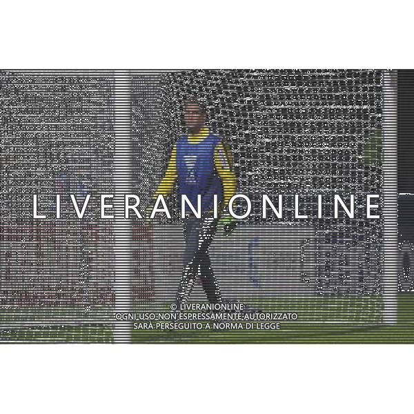 Maarten STEKELENBURG - 17.12.2014 - Lyon / Monaco - Coupe de la ligue - Photo : Jean Paul Thomas / Icon Sport /AGENZIA ALDO LIVERANI SAS - ITALY ONLY - EDITORIAL USE ONLY