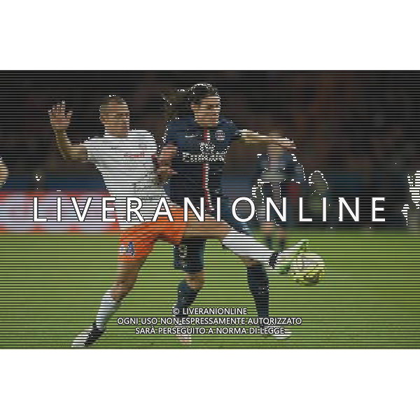 Edinson CAVANI / Vitorino HILTON - 20.12.2014 - Paris Saint Germain / Montpellier - 17eme journee de Ligue 1 - Photo : Aurelien Meunier / Icon Sport AG ALDO LIVERANI SAS ONLY ITALY