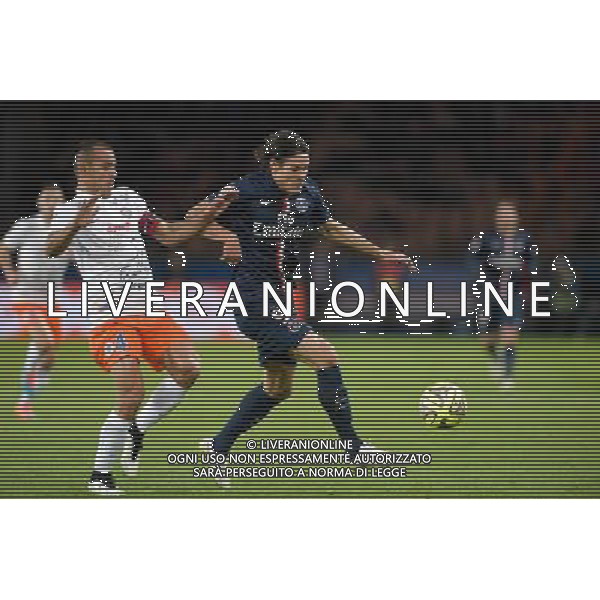Vitorino HILTON / Edinson CAVANI - 20.12.2014 - Paris Saint Germain / Montpellier - 17eme journee de Ligue 1 - Photo : Aurelien Meunier / Icon Sport /AGENZIA ALDO LIVERANI SAS - ITALY ONLY - EDITORIAL USE ONLY