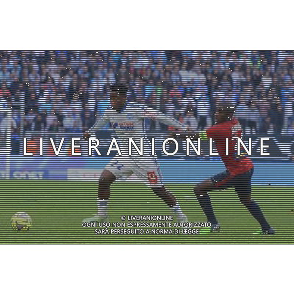 Rio MAVUBA / Michy BATSHUAYI - 21.12.2014 - Marseille / Lille - 19eme journee de Ligue 1 - Photo : Gaston Petrelli / Icon Sport AG ALDO LIVERANI SAS ONLY ITALY