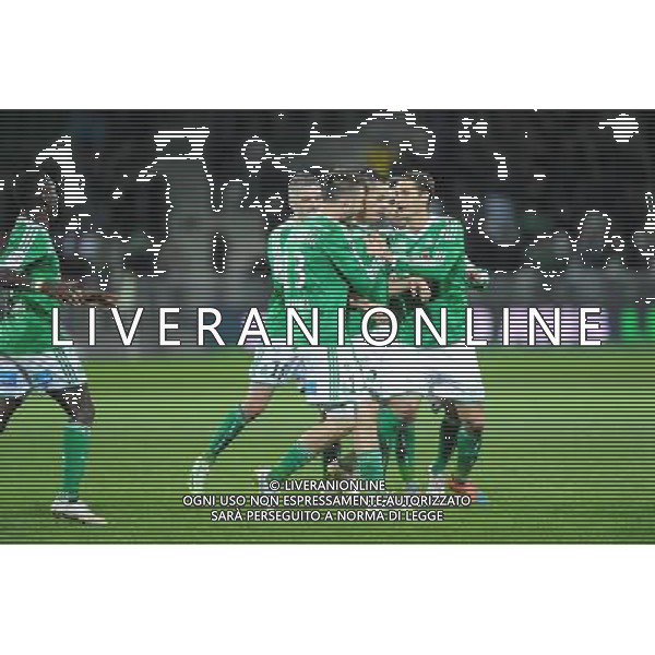 Joie Romain HAMOUMA - 21.12.2014 - Saint Etienne / Evian Thonon - 19eme journee de Ligue 1 Photo : Jean Paul Thomas / Icon Sport AG ALDO LIVERANI SAS ONLY ITALY