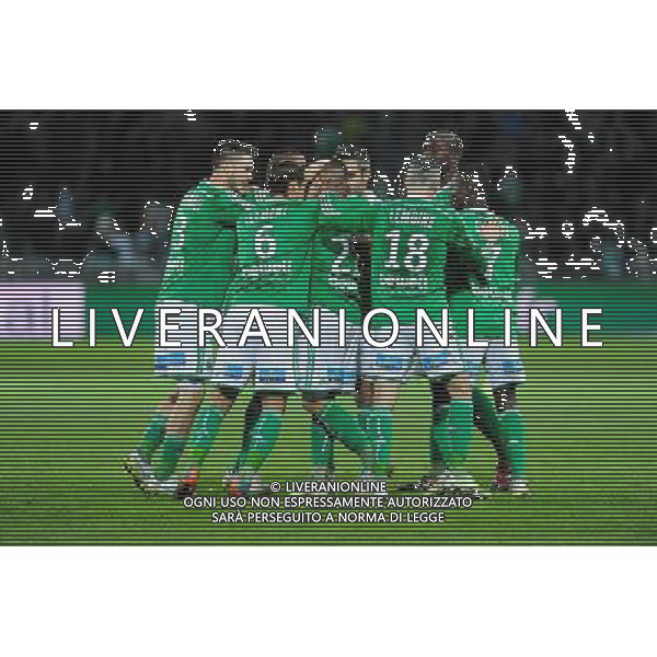 Joie Romain HAMOUMA - 21.12.2014 - Saint Etienne / Evian Thonon - 19eme journee de Ligue 1 Photo : Jean Paul Thomas / Icon Sport AG ALDO LIVERANI SAS ONLY ITALY