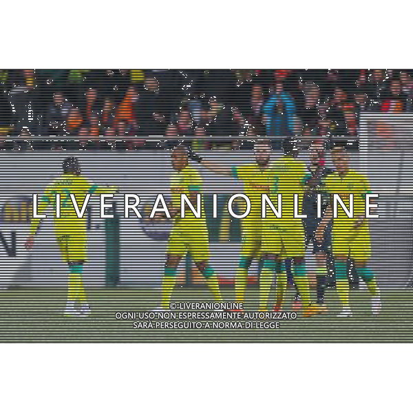 Joie Johan AUDEL / groupe Nantes - 20.12.2014 - Lorient / Nantes - 19eme journee de Ligue 1 - Photo : Vincent Michel / Icon Sport /Agenzia Aldo Liverani sas - ITALY ONLY - EDITORIAL USE ONLY