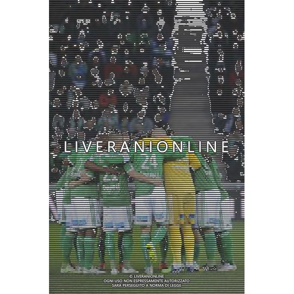 EQUIPE DE SAINT ETIENNE - 21.12.2014 - Saint Etienne / Evian Thonon - 19eme journee de Ligue 1 Photo : Jean Paul Thomas / Icon Sport AG ALDO LIVERANI SAS ONLY ITALY
