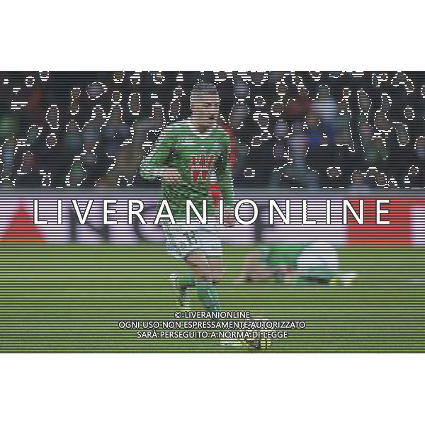 Fabien LEMOINE - 21.12.2014 - Saint Etienne / Evian Thonon - 19eme journee de Ligue 1 Photo : Jean Paul Thomas / Icon Sport AG ALDO LIVERANI SAS ONLY ITALY