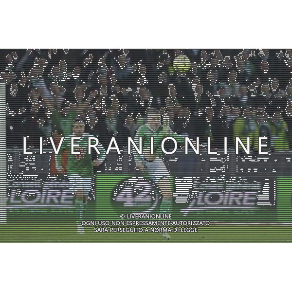 Fabien LEMOINE - 21.12.2014 - Saint Etienne / Evian Thonon - 19eme journee de Ligue 1 Photo : Jean Paul Thomas / Icon Sport AG ALDO LIVERANI SAS ONLY ITALY