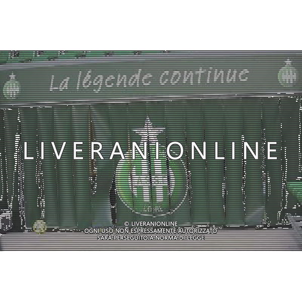 ILLUSTRATION - 21.12.2014 - Saint Etienne / Evian Thonon - 19eme journee de Ligue 1 Photo : Jean Paul Thomas / Icon Sport AG ALDO LIVERANI SAS ONLY ITALY