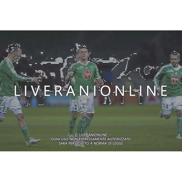 JOIE DE Romain HAMOUMA - 21.12.2014 - Saint Etienne / Evian Thonon - 19eme journee de Ligue 1 Photo : Jean Paul Thomas / Icon Sport AG ALDO LIVERANI SAS ONLY ITALY